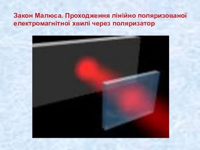 Закон Малюса. Проходження лінійно поляризованої електромагнітної хвилі через поляризатор