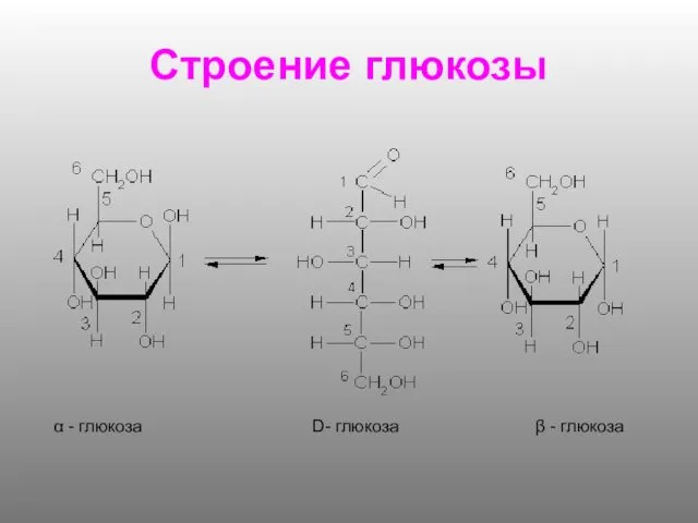 Строение глюкозы α - глюкоза D- глюкоза β - глюкоза