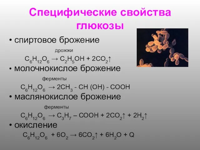 Специфические свойства глюкозы спиртовое брожение дрожжи C6Н12O6 → С2Н5ОН +