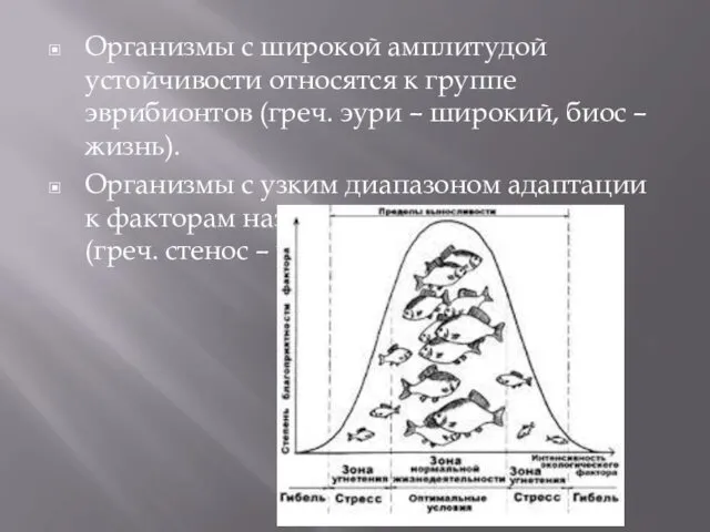 Организмы с широкой амплитудой устойчивости относятся к группе эврибионтов (греч.