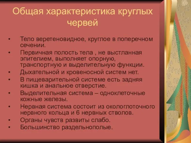 Общая характеристика круглых червей Тело веретеновидное, круглое в поперечном сечении.