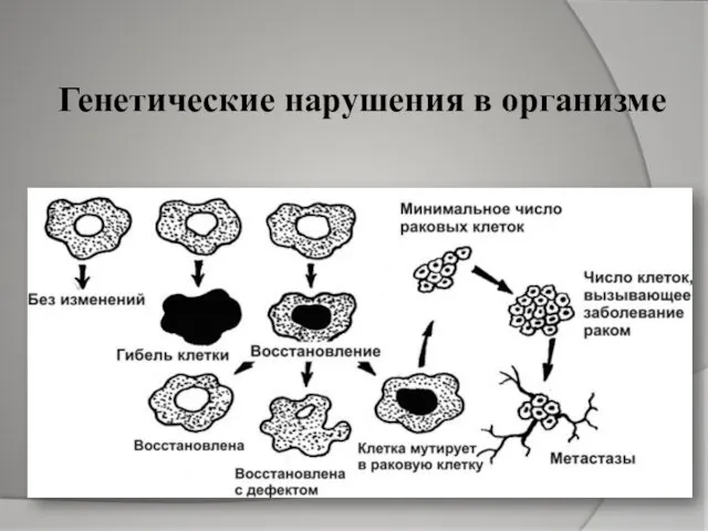 Генетические нарушения в организме