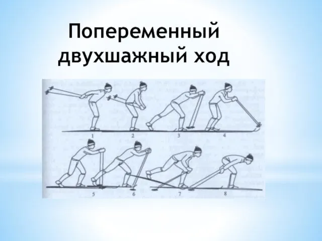 Попеременный двухшажный ход