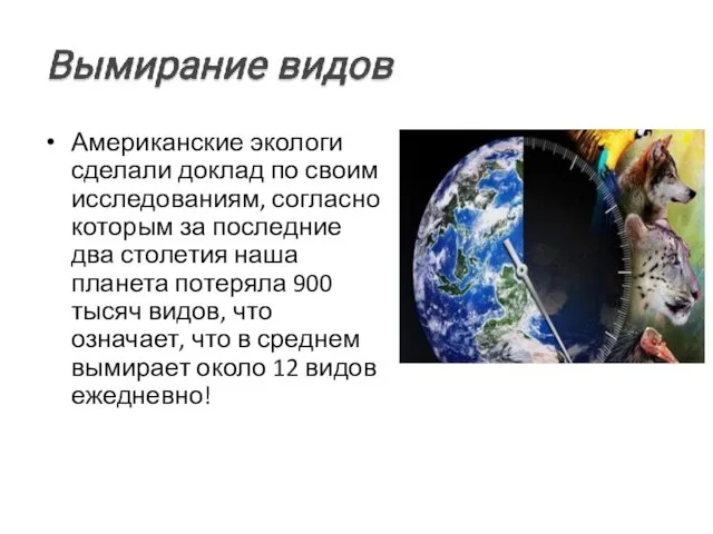 Американские экологи сделали доклад по своим исследованиям, согласно которым за