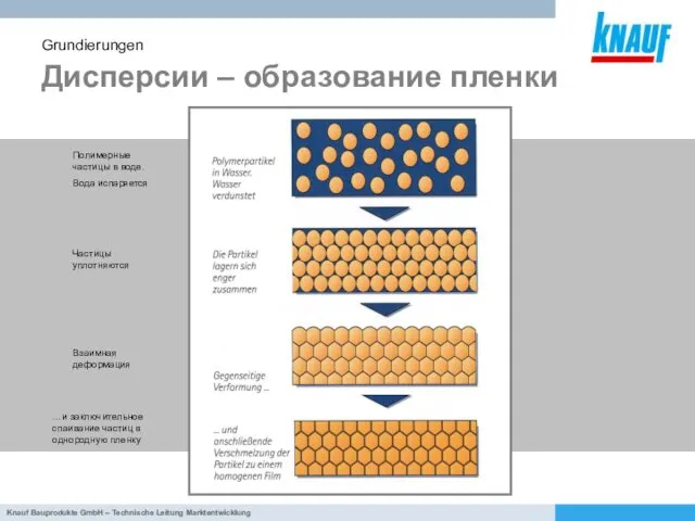 Дисперсии – образование пленки Grundierungen Полимерные частицы в воде. Вода