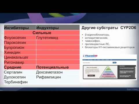 Другие субстраты CYP2D6 β-адреноблокаторы, антиаритмические, тамоксифен, противорвотные ЛС, блокаторы Н1-гистаминовых рецепторов