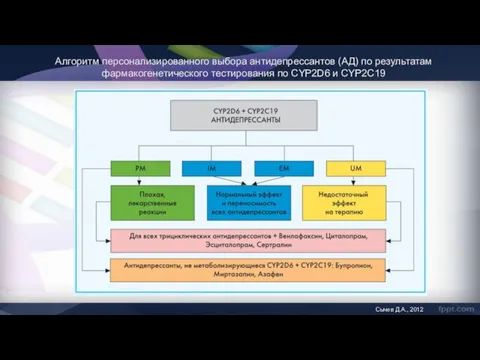 Алгоритм персонализированного выбора антидепрессантов (АД) по результатам фармакогенетического тестирования по CYP2D6 и CYP2C19 Сычев Д.А., 2012
