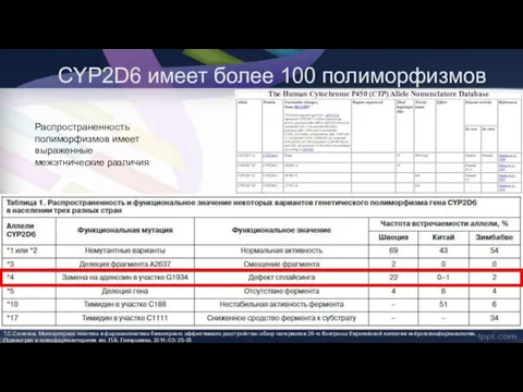 CYP2D6 имеет более 100 полиморфизмов Т.С.Сюняков. Молекулярная генетика и фармакогенетика