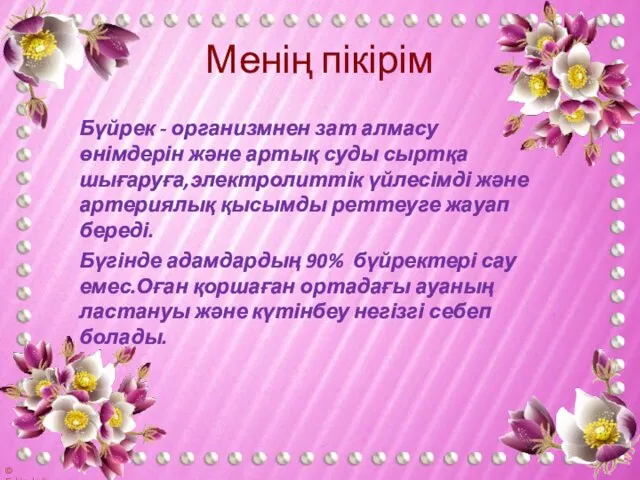 Менің пікірім Бүйрек - организмнен зат алмасу өнімдерін және артық