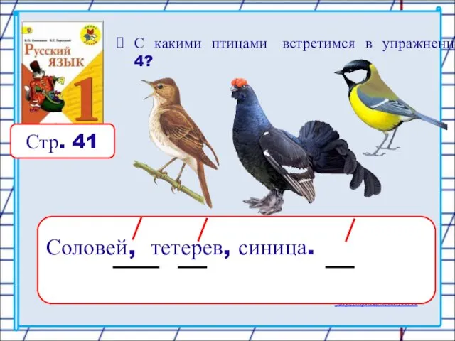 Стр. 41 С какими птицами встретимся в упражнении 4? Соловей, тетерев, синица.