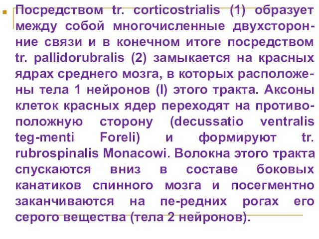 Посредством tr. corticostrialis (1) образует между собой многочисленные двухсторон-ние связи