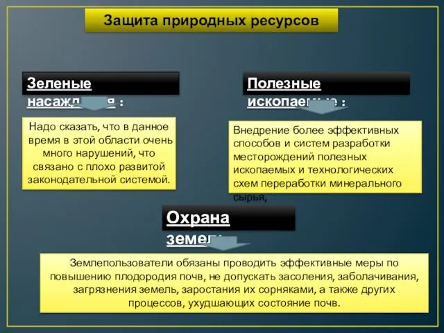 Защита природных ресурсов Зеленые насаждения : Надо сказать, что в