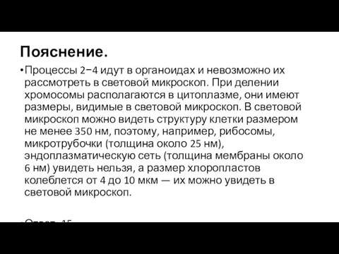 Пояснение. Процессы 2−4 идут в органоидах и невозможно их рассмотреть