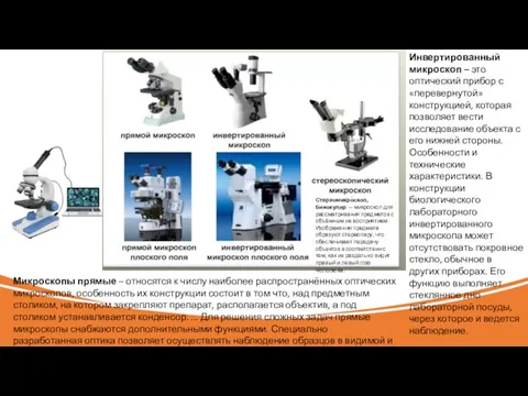 Микроскопы прямые – относятся к числу наиболее распространённых оптических микроскопов,