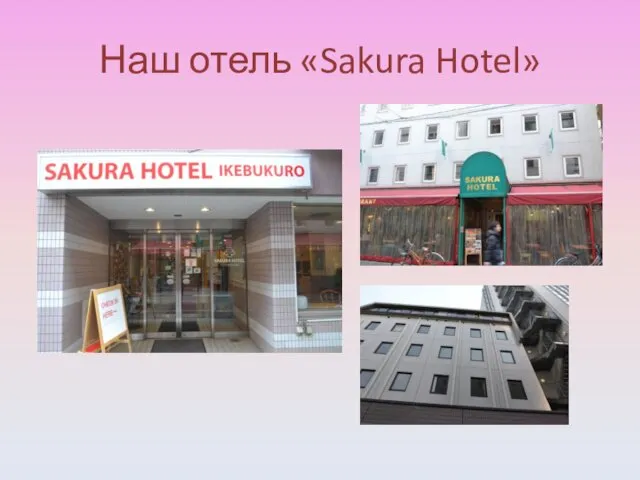 Наш отель «Sakura Hotel»