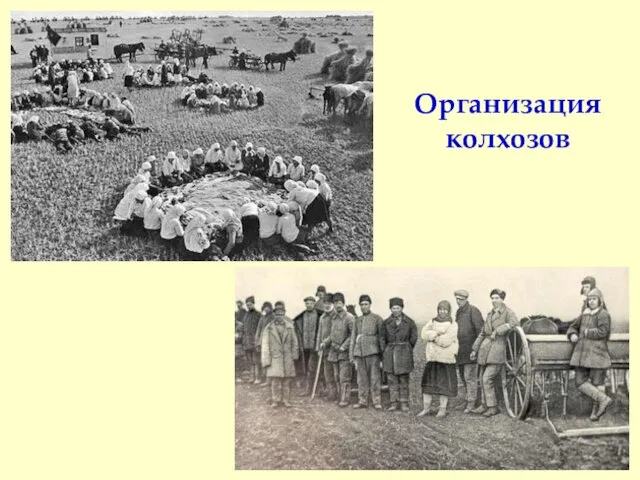 Организация колхозов