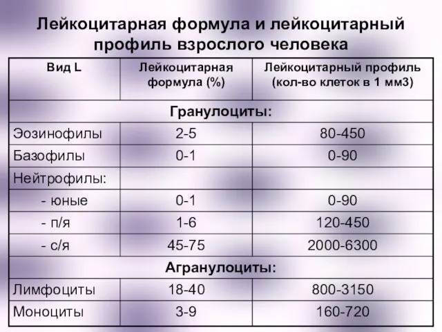 Лейкоцитарная формула и лейкоцитарный профиль взрослого человека