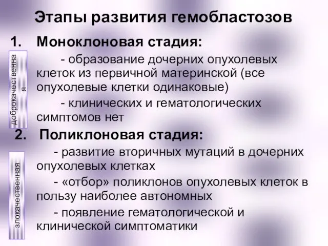 Этапы развития гемобластозов Моноклоновая стадия: - образование дочерних опухолевых клеток