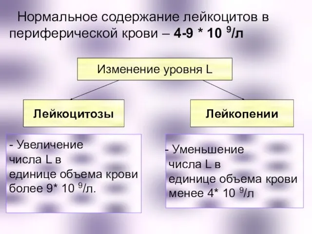 Нормальное содержание лейкоцитов в периферической крови – 4-9 * 10 9/л Изменение уровня