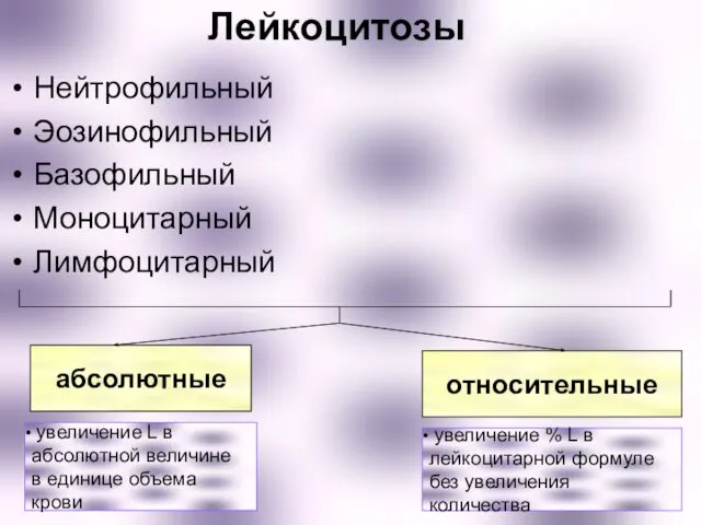 Лейкоцитозы Нейтрофильный Эозинофильный Базофильный Моноцитарный Лимфоцитарный абсолютные относительные увеличение L