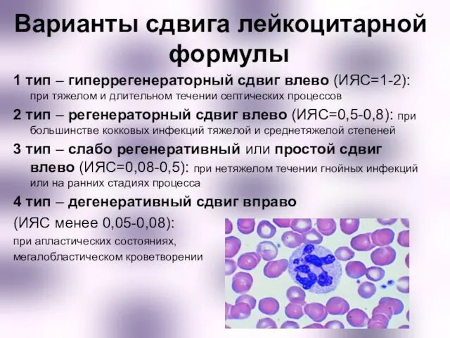 Варианты сдвига лейкоцитарной формулы 1 тип – гиперрегенераторный сдвиг влево (ИЯС=1-2): при тяжелом