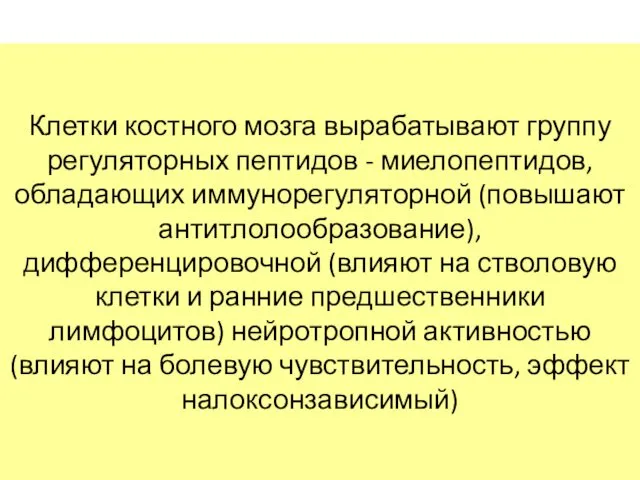 Клетки костного мозга вырабатывают группу регуляторных пептидов - миелопептидов, обладающих иммунорегуляторной (повышают антитлолообразование),