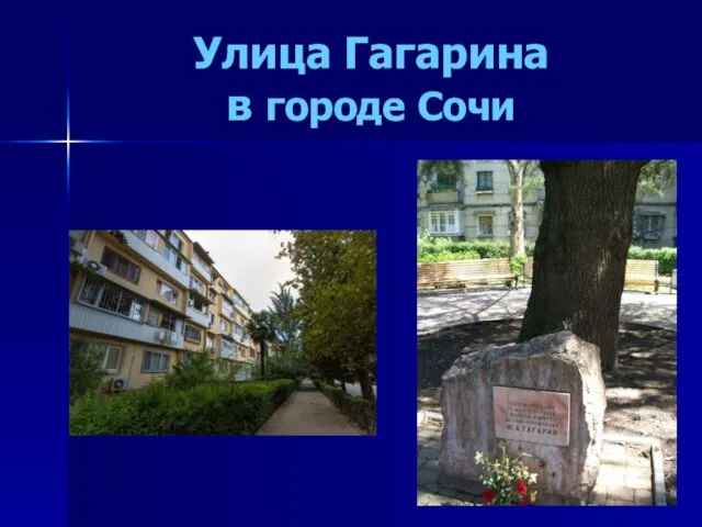 Улица Гагарина в городе Сочи