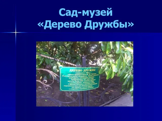 Сад-музей «Дерево Дружбы»