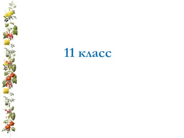 11 класс