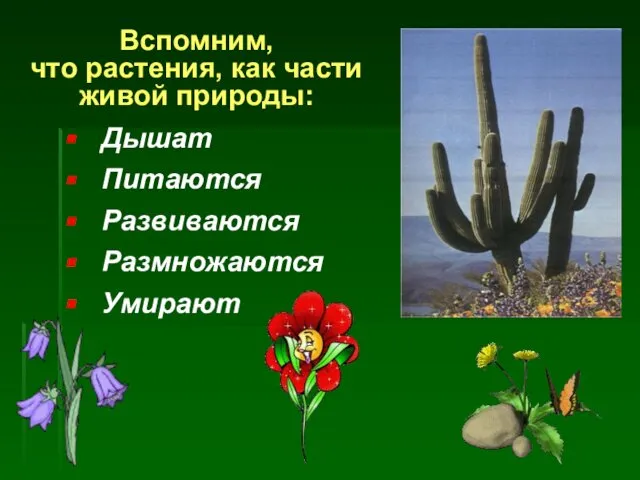 Вспомним, что растения, как части живой природы: Дышат Питаются Развиваются Размножаются Умирают