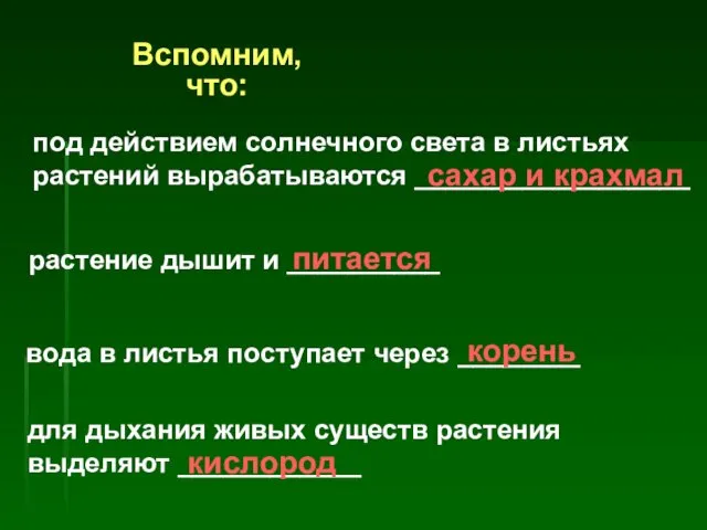 под действием солнечного света в листьях растений вырабатываются __________________ сахар