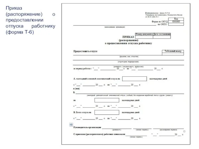 Приказ (распоряжение) о предоставлении отпуска работнику (форма Т-6)