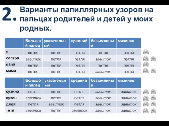 2. Варианты папиллярных узоров на пальцах родителей и детей у моих родных.