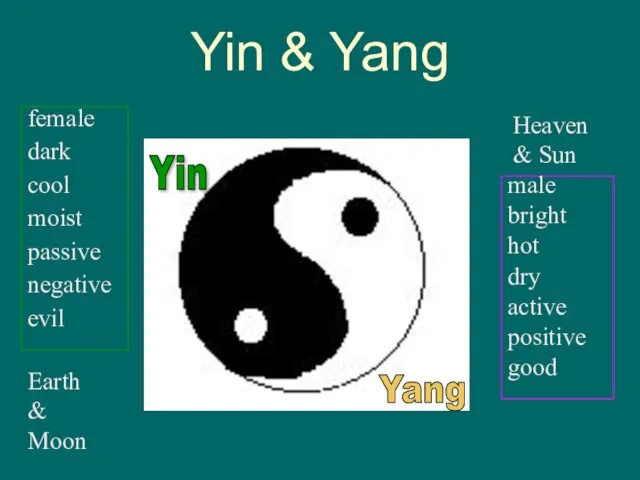 Yin & Yang Yin Yang female dark cool moist passive