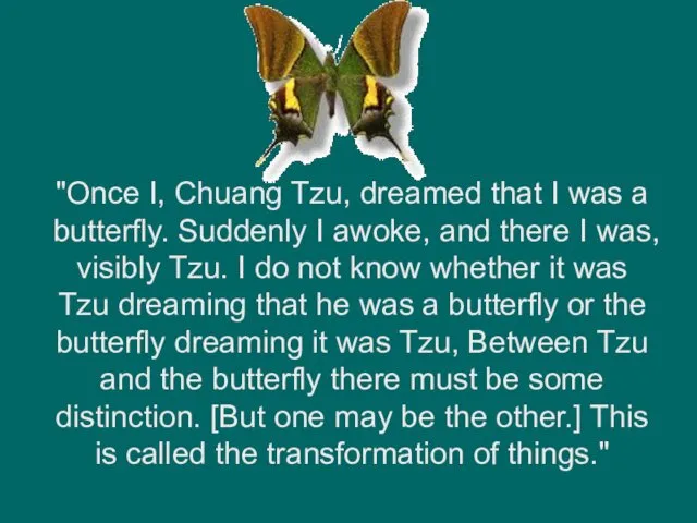 "Once I, Chuang Tzu, dreamed that I was a butterfly.