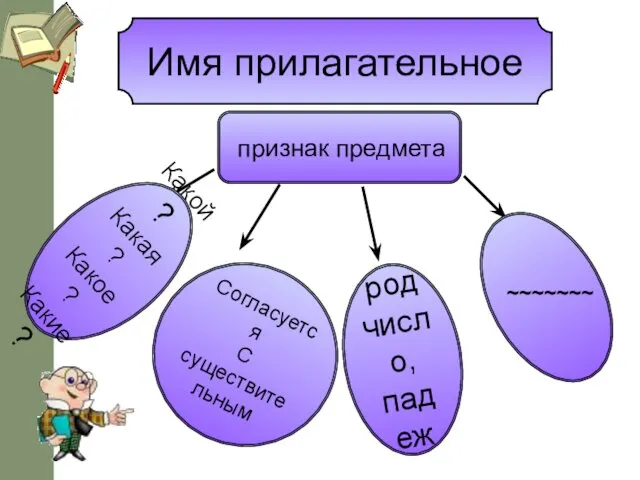 Имя прилагательное признак предмета Согласуется С существительным род число, падеж Какой? Какая? Какое? Какие? ~~~~~~~