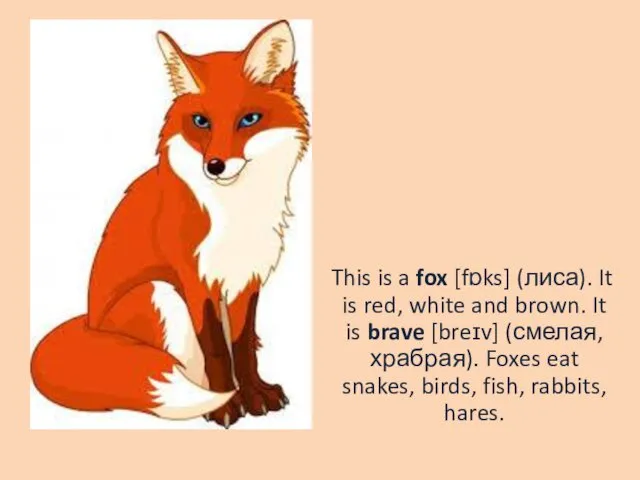 This is a fox [fɒks] (лиса). It is red, white