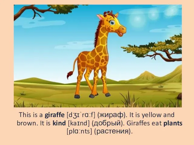 This is a giraffe [dʒɪˈrɑːf] (жираф). It is yellow and