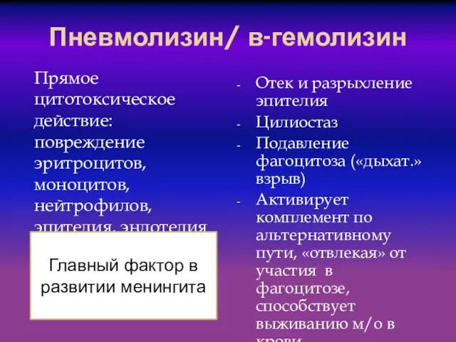 Пневмолизин/ в-гемолизин Прямое цитотоксическое действие: повреждение эритроцитов, моноцитов, нейтрофилов, эпителия,