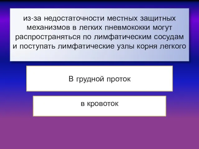 из-за недостаточности местных защитных механизмов в легких пневмококки могут распространяться