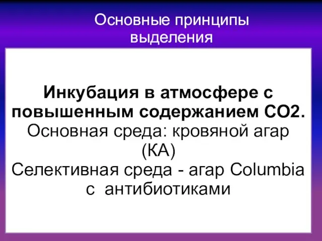 Основные принципы выделения Инкубация в атмосфере c повышенным содержанием СО2.