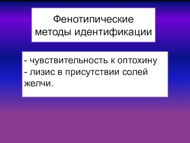 - чувствительность к оптохину - лизис в присутствии солей желчи. Фенотипические методы идентификации