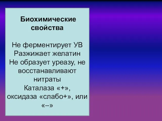 Биохимические свойства Не ферментирует УВ Разжижает желатин Не образует уреазу,