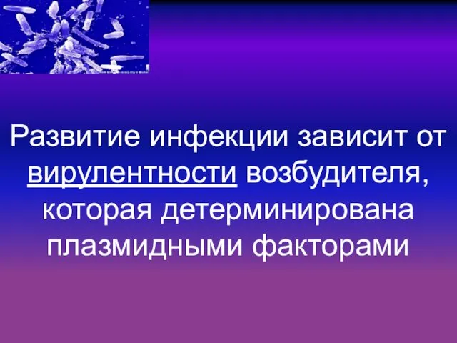 Развитие инфекции зависит от вирулентности возбудителя, которая детерминирована плазмидными факторами