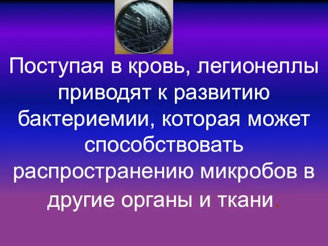 Поступая в кровь, легионеллы приводят к развитию бактериемии, которая может