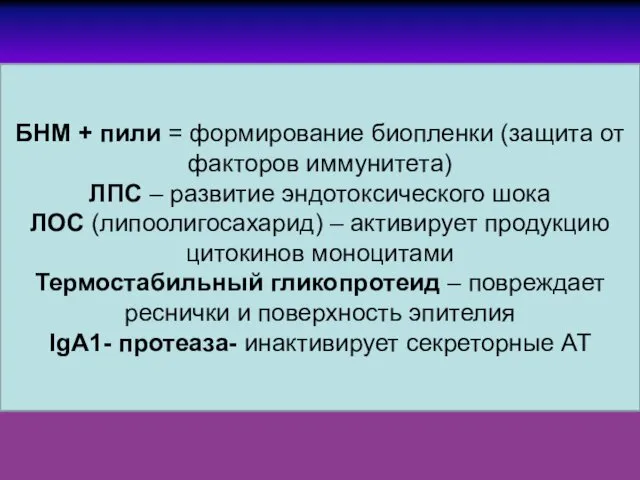 БНМ + пили = формирование биопленки (защита от факторов иммунитета)