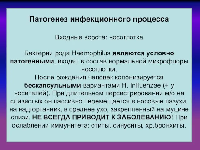 Патогенез инфекционного процесса Входные ворота: носоглотка Бактерии рода Haemophilus являются