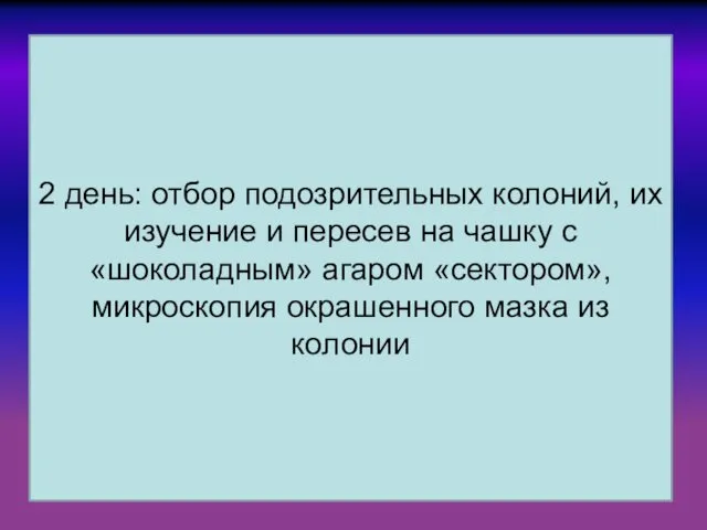 2 день: отбор подозрительных колоний, их изучение и пересев на