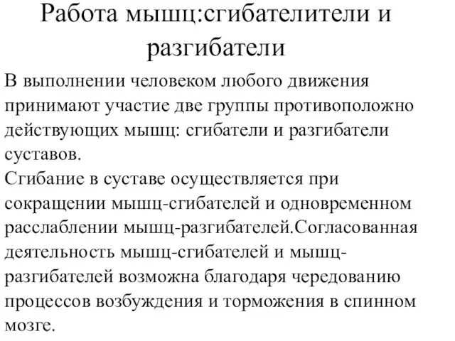 Работа мышц:сгибателители и разгибатели В выполнении человеком любого движения принимают