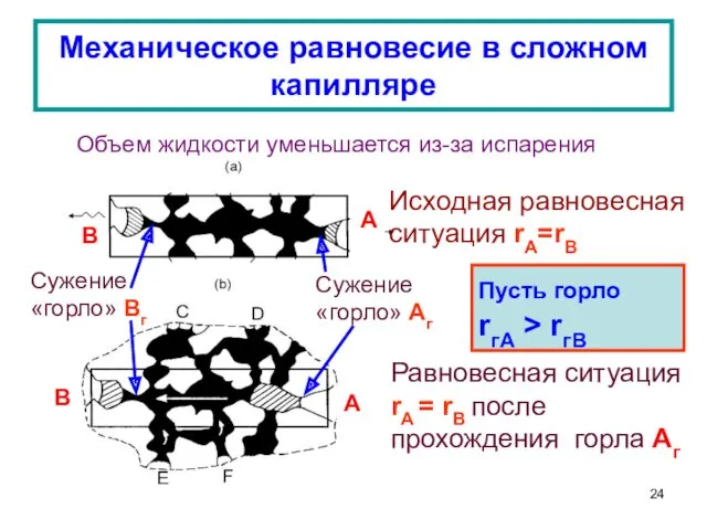 Механическое равновесие в сложном капилляре